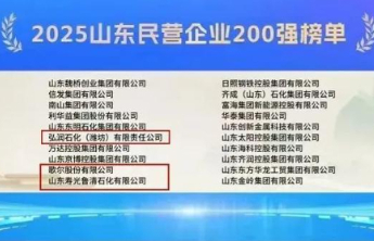 山东民企200强发布，潍坊3家企业进前十