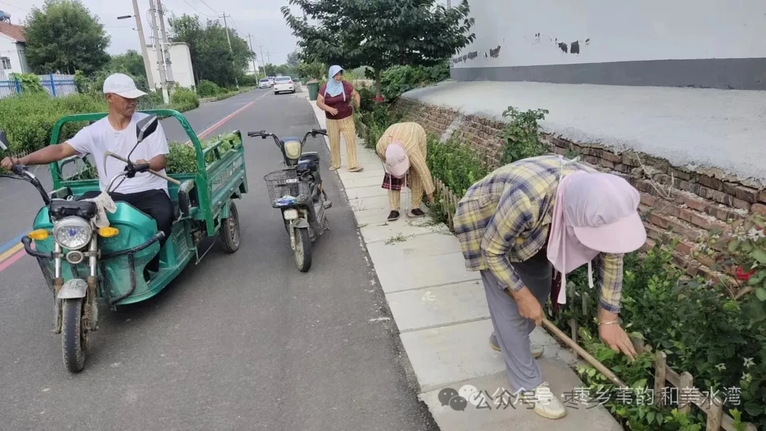 无棣县水湾镇开展防蚊灭蚊爱国卫生运动