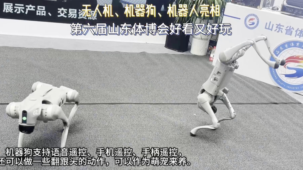 果然视频｜无人机、机器狗闪亮登场！第六届山东体博会好看又好玩