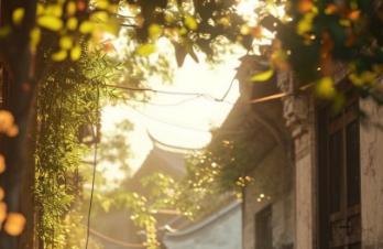 非虚构写作|喝红糖茶
