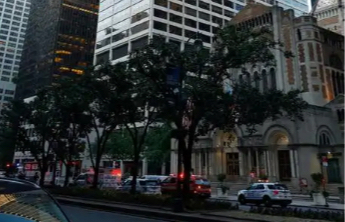 美国纽约暴发疫情，已致6人死亡
