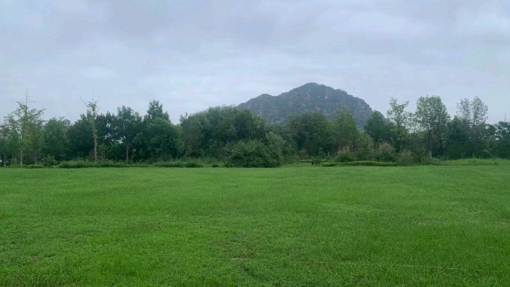 天气情报站|最高27℃！济南周末气温下降，出门感受秋意的凉爽