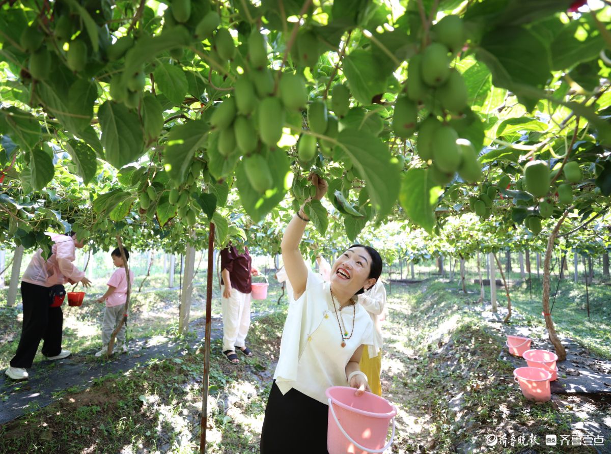 初秋采摘乐，特色农业助增收
