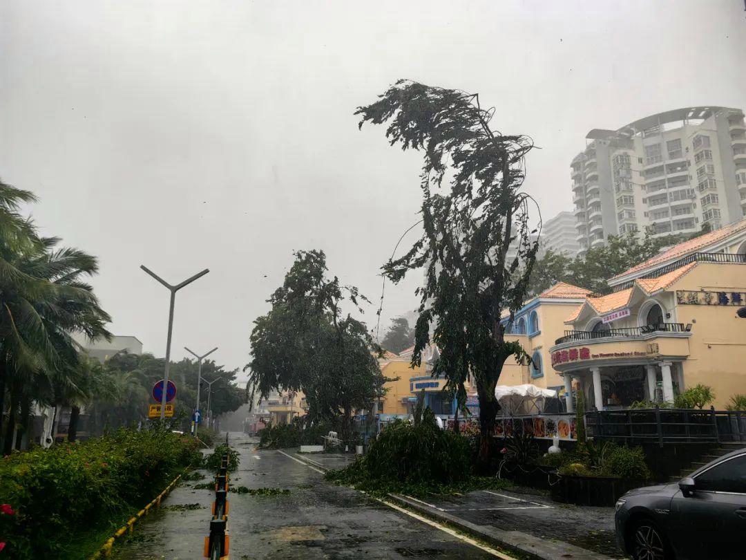 海南多地被“吹停”！台风“剑鱼”有多凶悍？