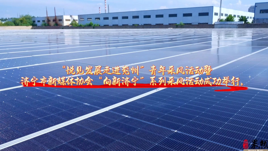 果然视频｜青年采风活动“向新济宁”系列采风活动成功举行