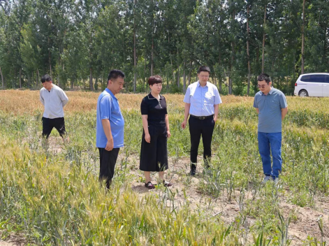 中国人寿财险山东省德州市中心支公司聚焦主责主业：筑牢粮食安全生产“基本盘”