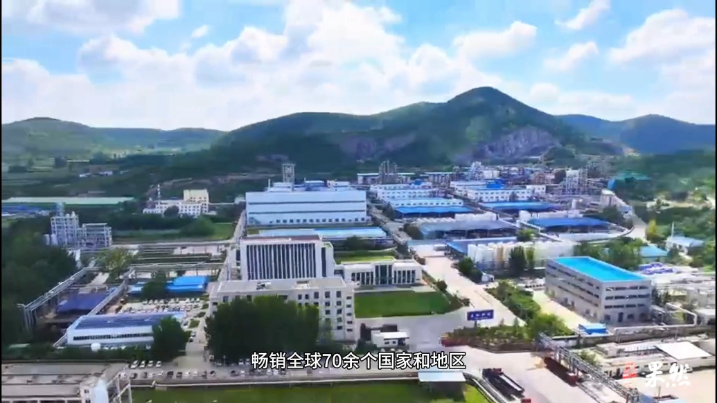 云话山东|产品畅销全球，解码水处理剂龙头企业的“出海”密码