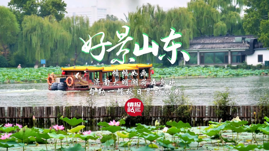果然视频·好景山东|济南大明湖荷舞鸟欢，勾勒一幅秋日灵动画卷