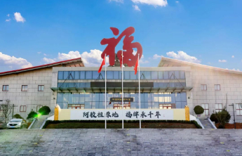 全球权威认证！福牌阿胶荣膺“中国高端鲜炖阿胶领导者”称号