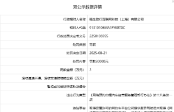 强生致行互联网科技（上海）有限公司被罚