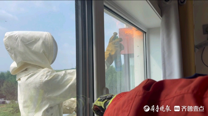 果然视频|马蜂在居民家窗外筑巢，消防员到场五分钟化解