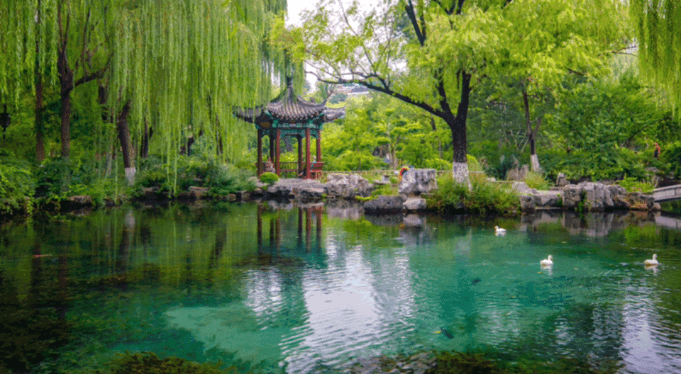 8月26日最佳情报|五龙潭泉涌水涨景如画，华山湖须浮鸥带娃忙