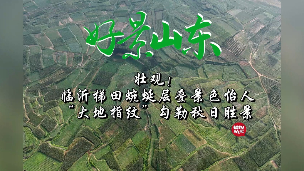 果然视频·好景山东|临沂梯田蜿蜒层叠景色怡人，勾勒秋日胜景