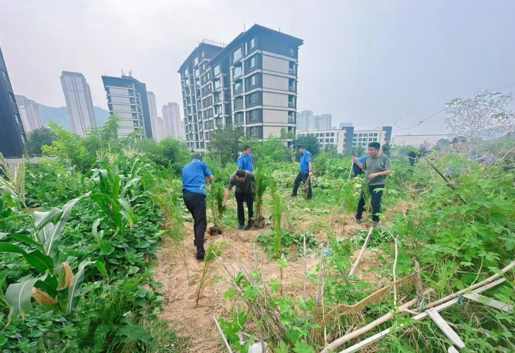 济南市中区十六里河：城管进社区，整治小区私占绿地乱象