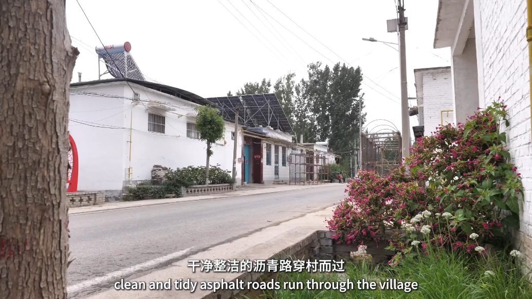 Ramble Shandong漫步山东|东阿县姚寨镇：绘就“三色”和美图，跑出乡村振兴“加速度”