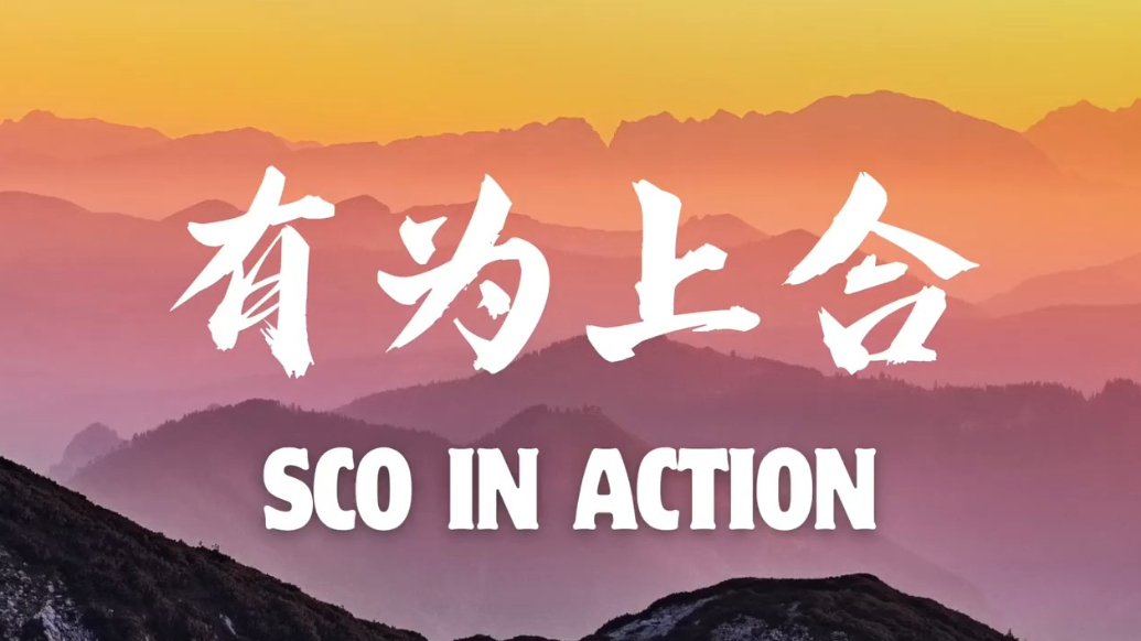 SCO in Action