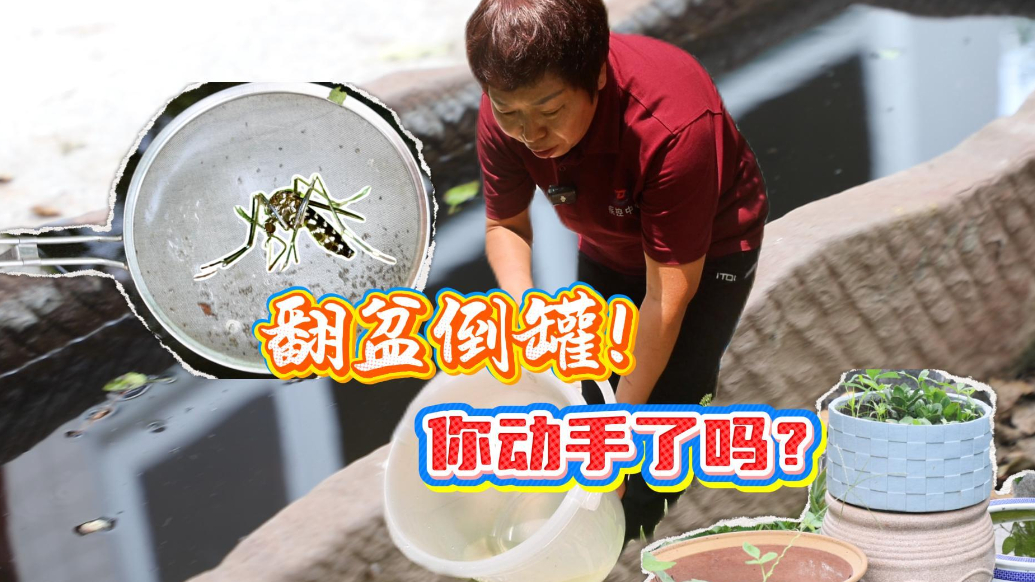 东营疾控话健康|翻盆倒罐！你动手了吗？