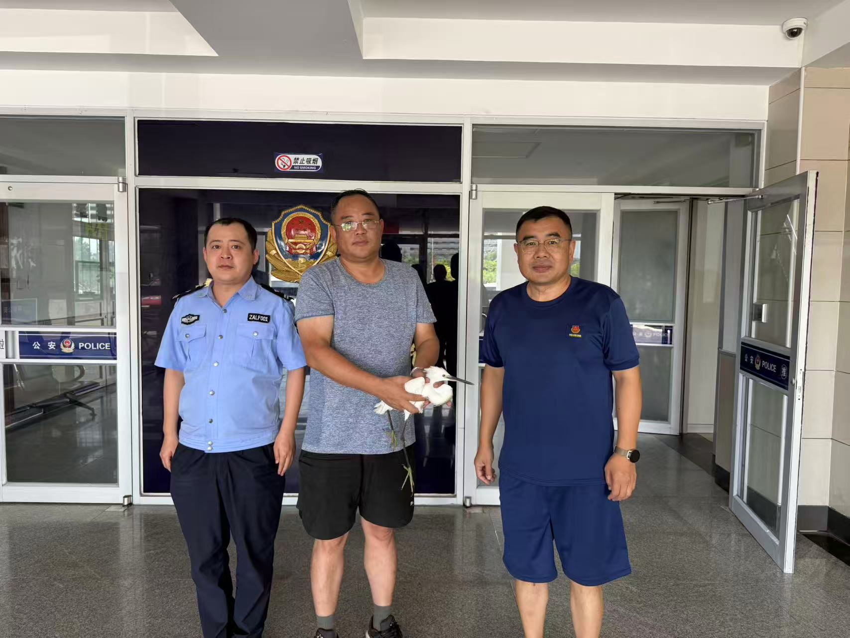 警民联手救助受伤白鹭