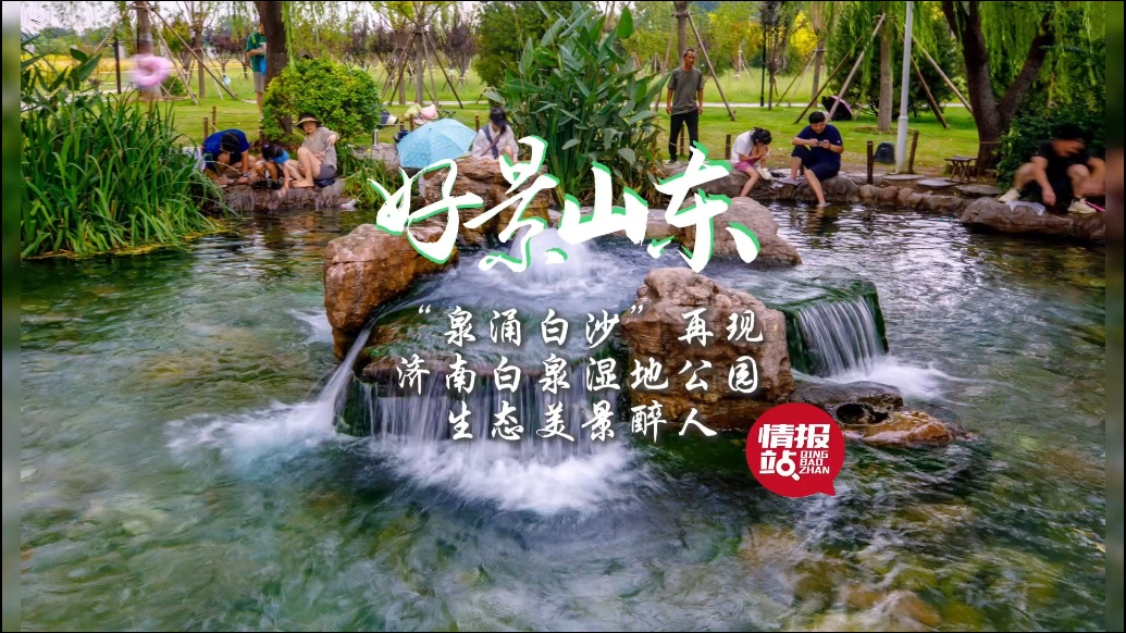 果然视频·好景山东|白泉湿地公园“泉涌白沙”再现，美景醉游人