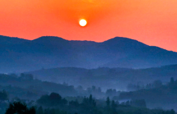壹点日历8.29|爱在七夕，更在朝朝夕夕！七夕节快乐