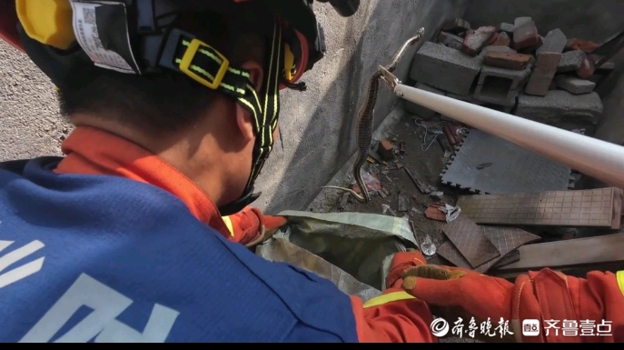 果然视频|花蛇溜进居民院，消防员一招擒获