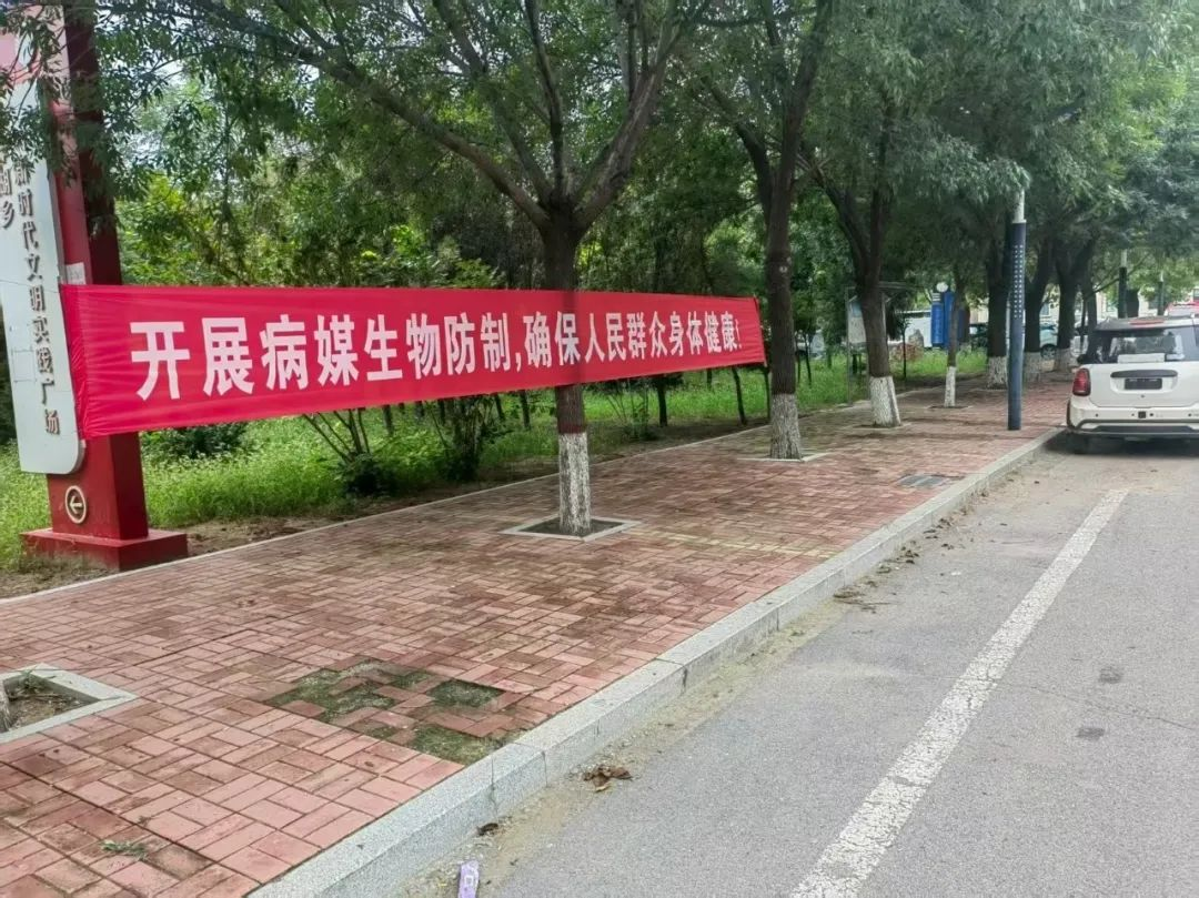 阳信县洋湖乡严防基孔肯雅热 爱国卫生在行动
