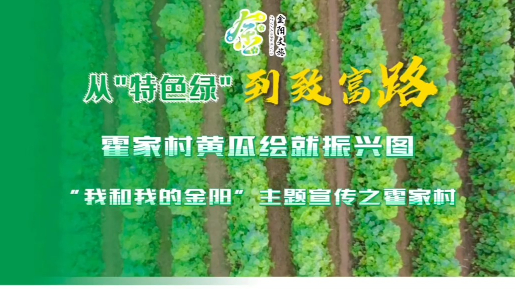 从“特色绿”到致富路 霍家黄瓜绘就振兴图