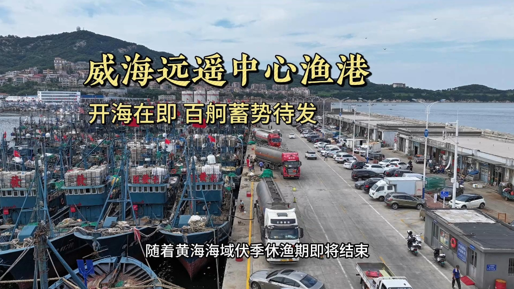 果然视频丨威海远遥中心渔港：开海在即，百舸蓄势待发