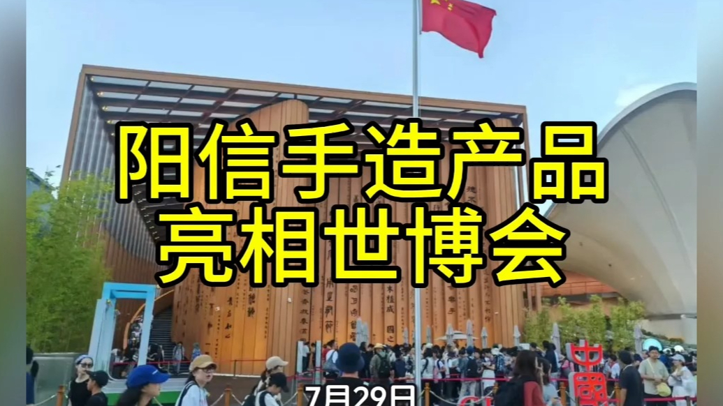 阳信手造产品亮相大阪世博会