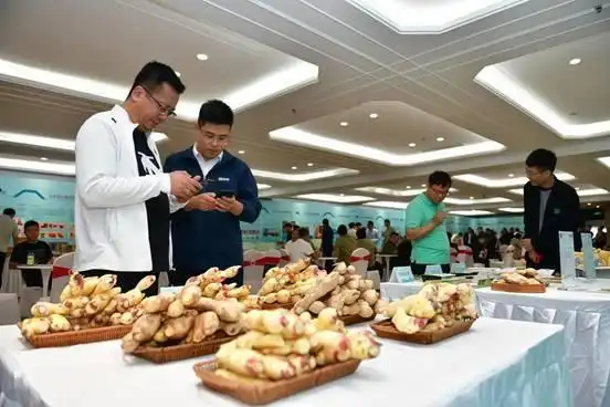 Shandong agricultural supermarket boosts rural vitalization