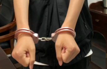 重大职务犯罪嫌疑人梁小菲被遣返回国