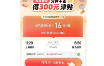 9.9元延误险下架，旅客不需要猜中时间才能领的“保障”