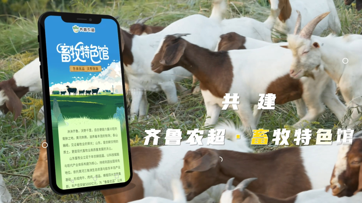 鲁畜优品，沃野牧歌！“齐鲁农超·畜牧特色馆”正式上线！
