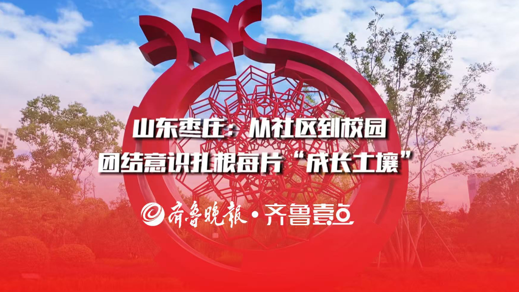 山东枣庄：从社区到校园，团结意识扎根每片“成长土壤”