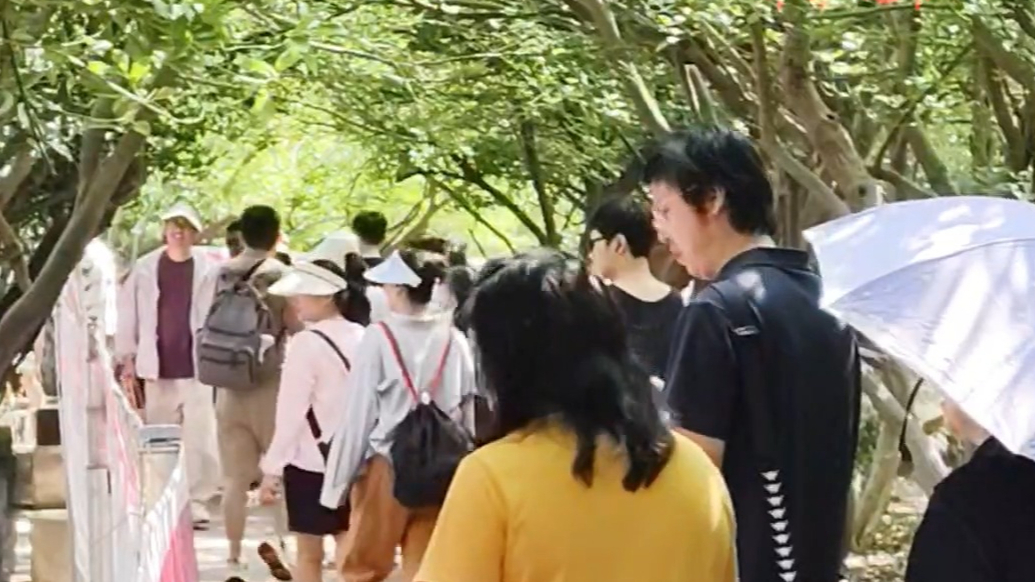 果然视频｜灯塔之下觅良缘，第三届烟台山千人联谊活动浪漫启幕