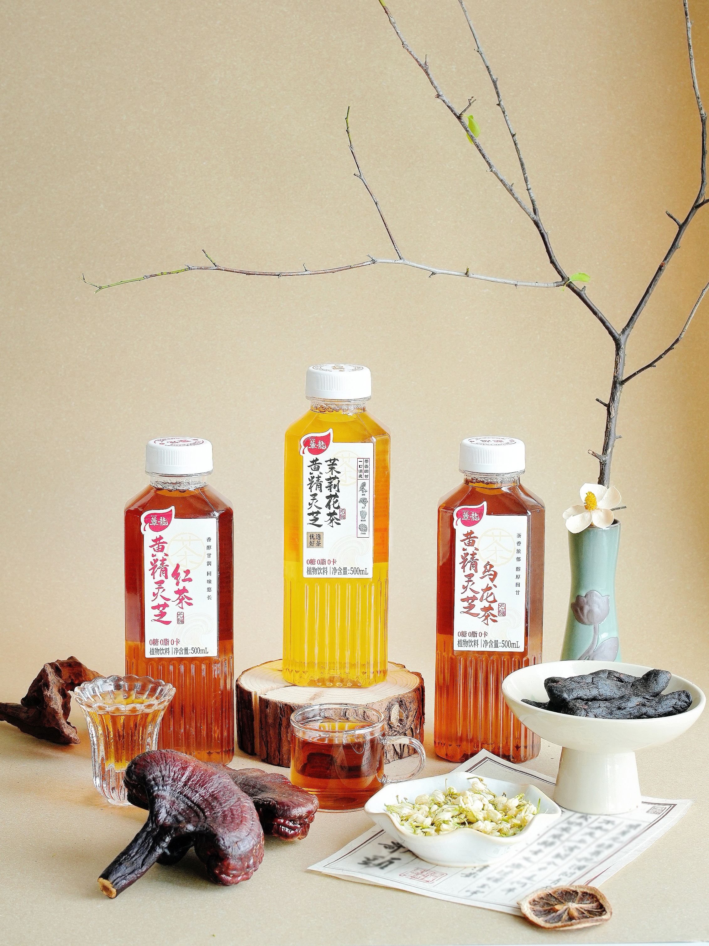 开学喝蕈龙，时刻更专注！蕈龙养生茶成开学季新宠