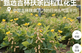 “花生上树”的良品铺子，如何让人相信“品控”