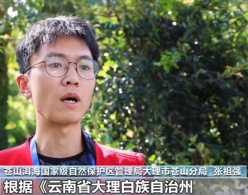 4人因擅自进入苍山保护区被立案调查