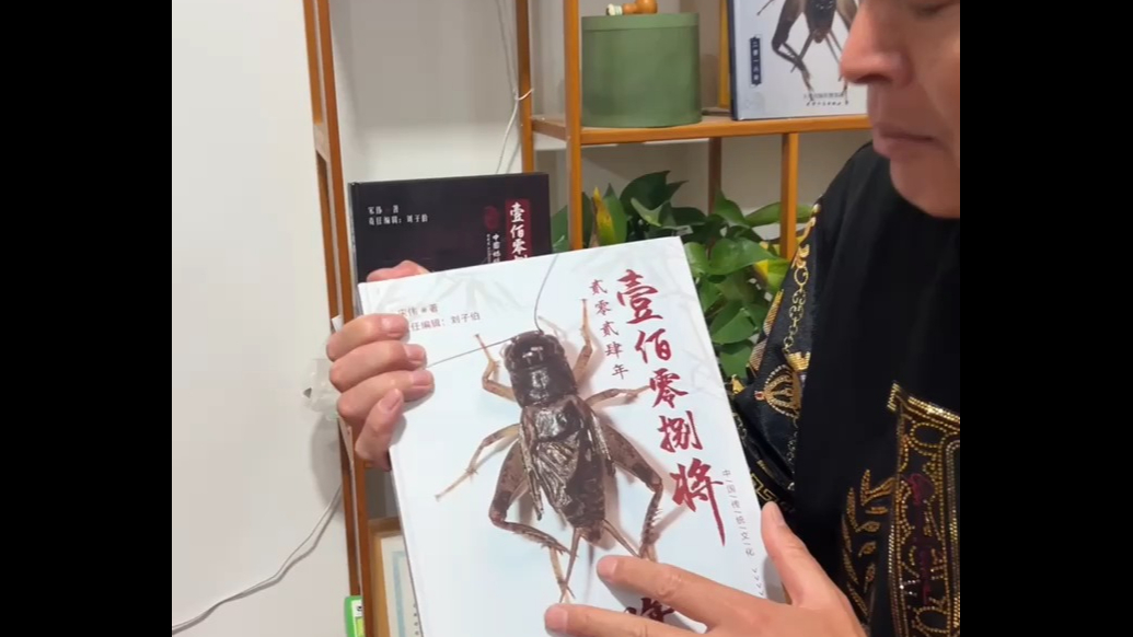 果然视频丨蟋蟀中的“狠角色”108将，山东宁阳出将率占一半多