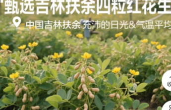 “花生上树”，不只是笑话
