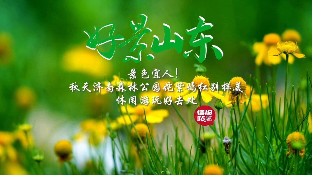 果然视频·好景山东|秋日打卡济南森林公园风清气爽，游玩好去处
