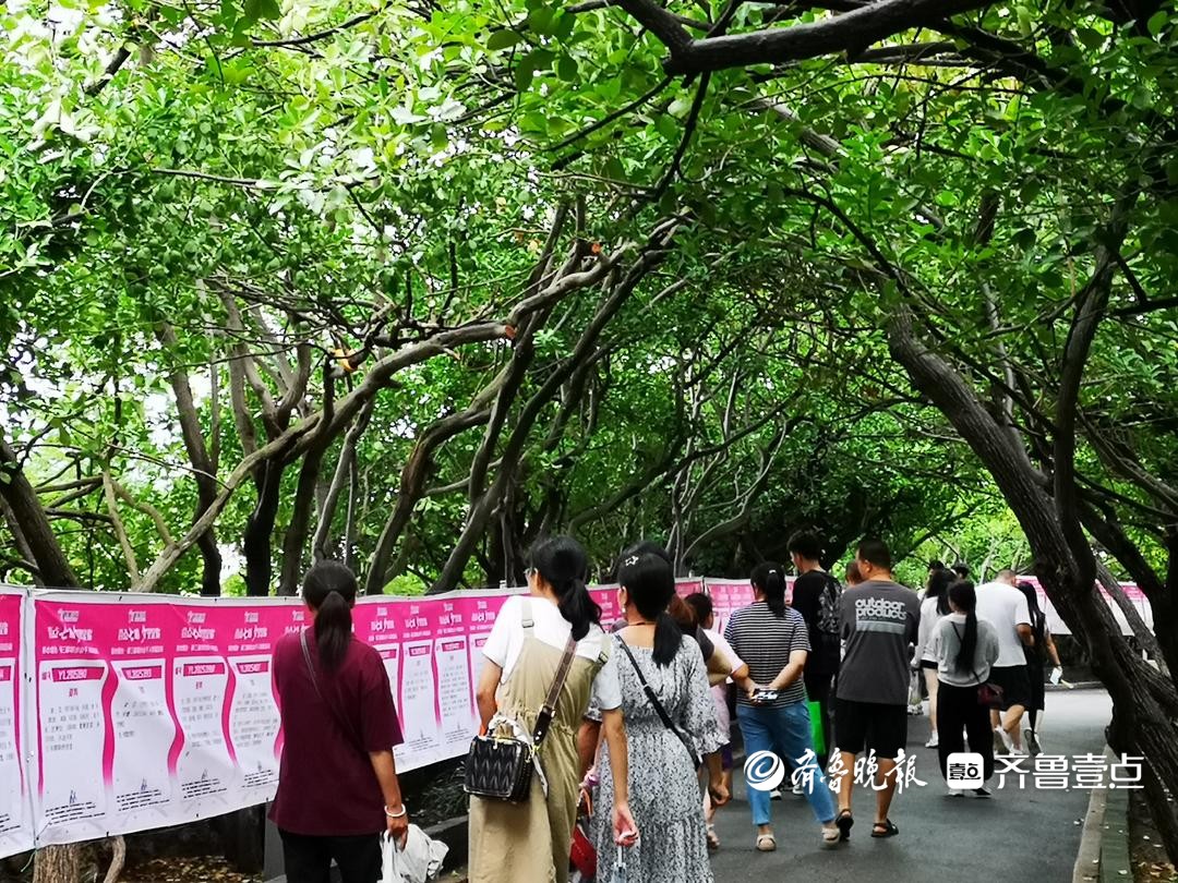 凌晨出发赶赴烟台山联谊活动现场，天津大姨跨城替儿寻姻缘