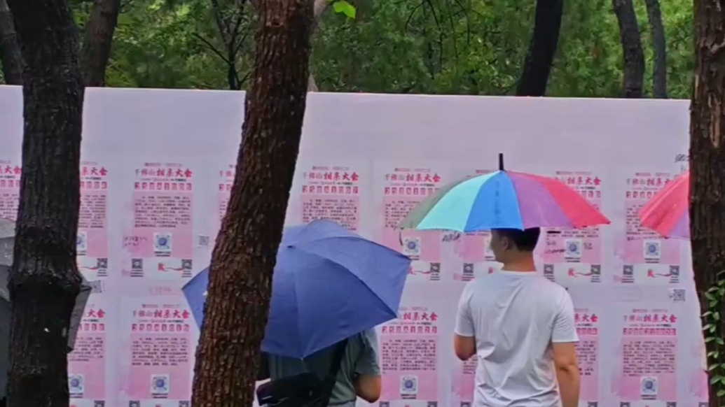果然视频|年轻人来相亲会现场“寻找合伙人！”