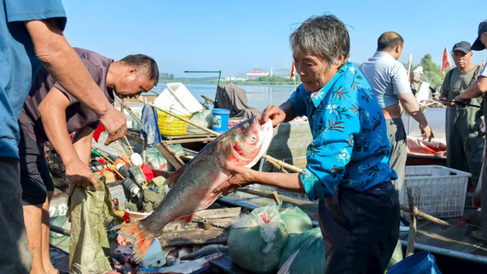 东平湖开湖：百船竞发鱼满舱，岸边交易丰收忙