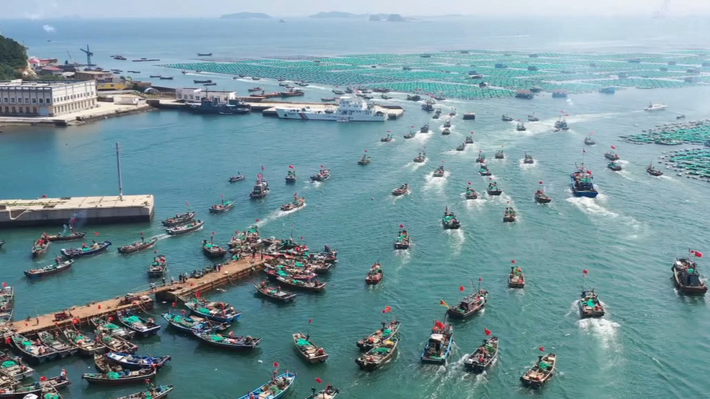 果然视频｜烟台“开海”啦！芝罘区东口渔港千帆竞发