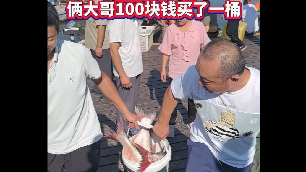 果然视频丨东平湖开湖首日！俩大哥100元抱走33斤鱼，3元/斤装满桶超划算