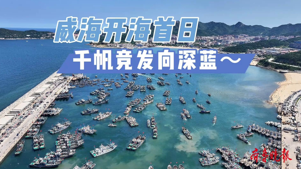 果然视频|威海开海首日，千帆竞发踏浪追“鲜”