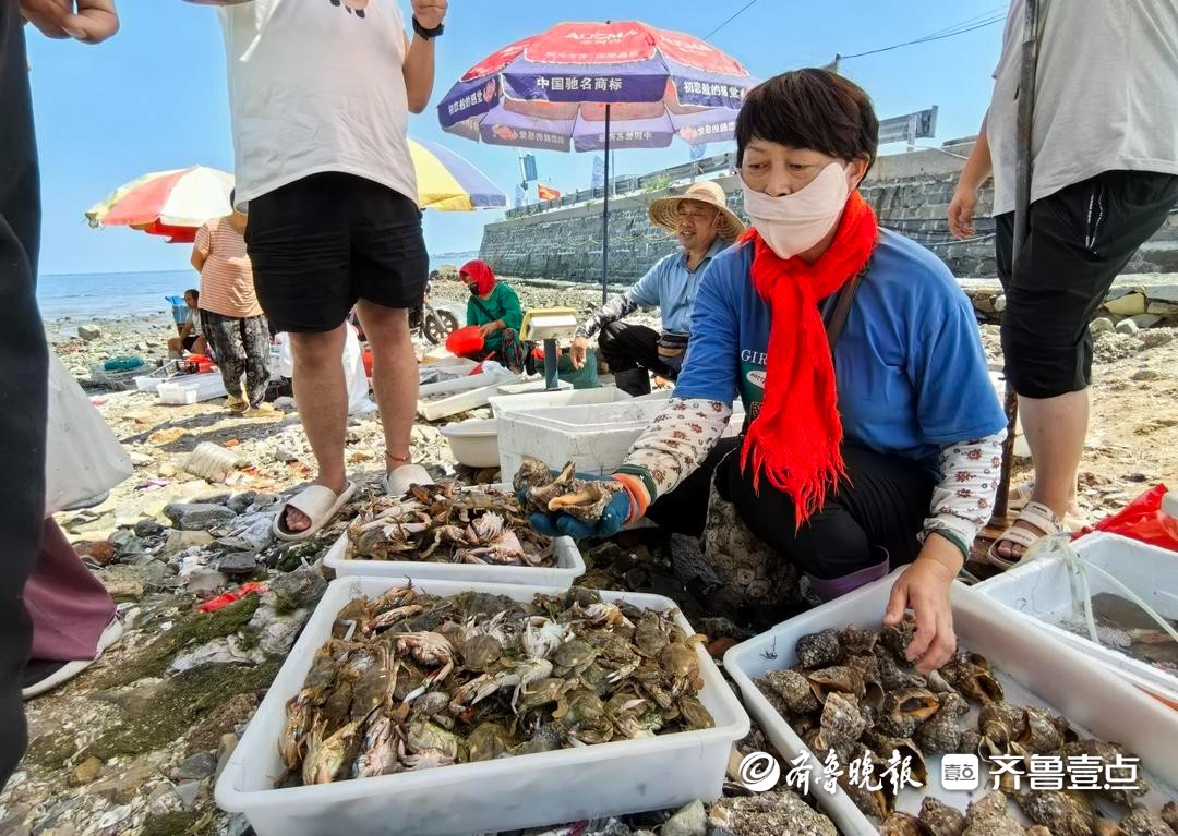 开海啦！青岛码头再次沸腾，今秋“第一鲜”抢鲜上岸