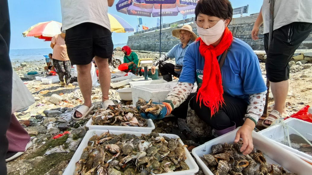 果然视频丨伏季休渔期结束，青岛迎来“开海第一鲜”