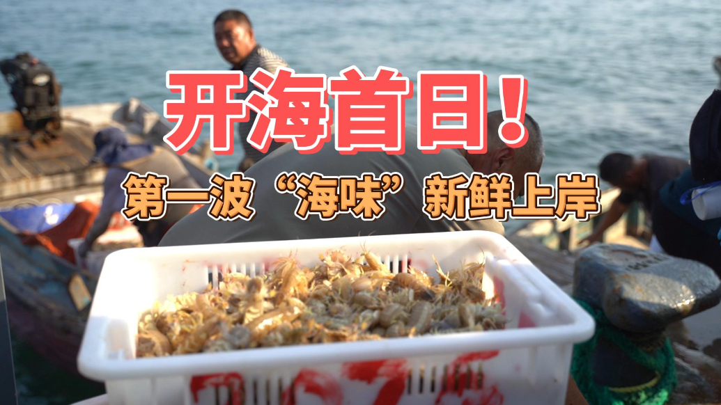 果然视频丨开海首日！第一波“海味”新鲜上岸